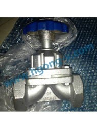 DIN rubber/PFA stainless steel thread diaphragm valve